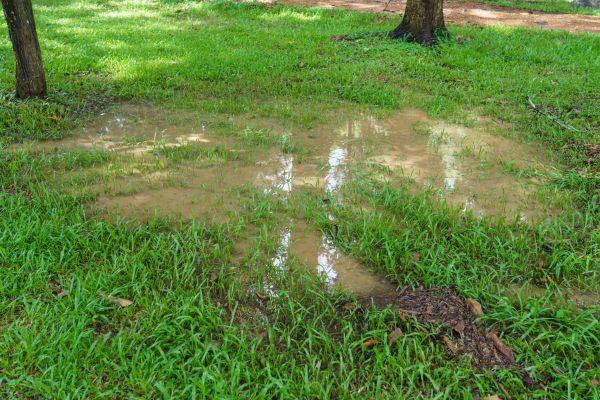 Cost of Storm Water Drainage Service in Salisbury