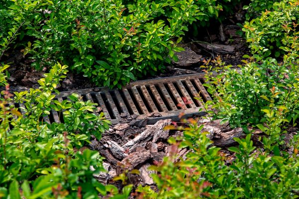 Cost of Underground Drainage Service in Salisbury