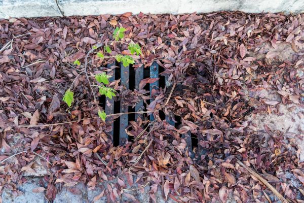 Cost of Yard Drain Unclogging in Salisbury