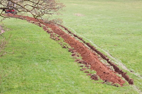 Cost of Swale Installation in Salisbury