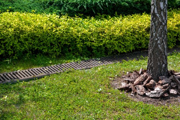 Cost of Residential Landscape Drainage in Salisbury