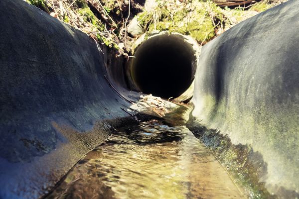 Cost of Drainage Swale Installation in Salisbury