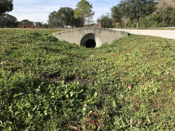 Cost of Swale Drainage Service in Salisbury
