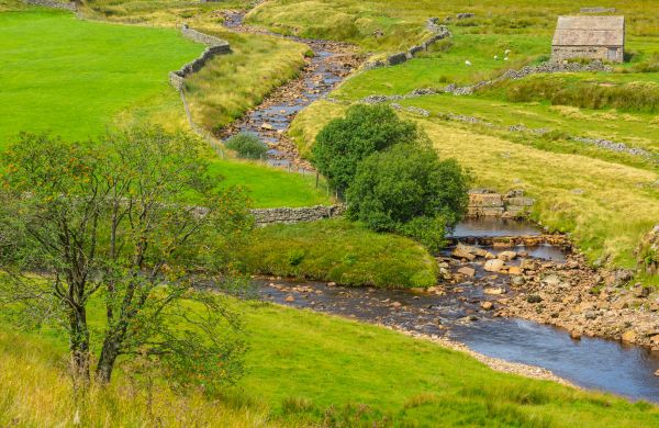 Cost of Swale Repair in Salisbury